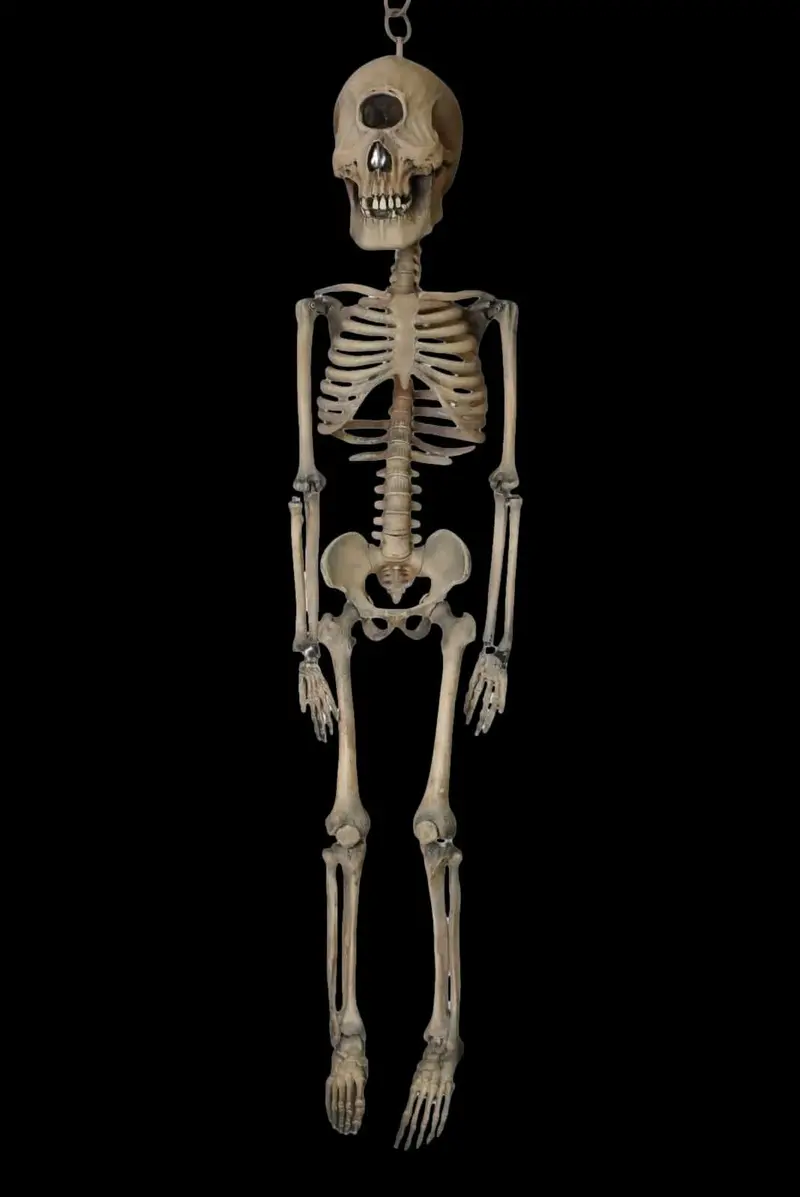 3' Cyclops Skeleton Halloween Prop 1