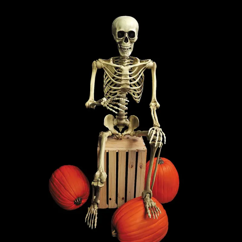 5 Ft. Realistic Posable Articulated Skeleton Halloween Decoration 1