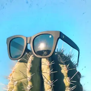 Adios Black Sunglasses 1