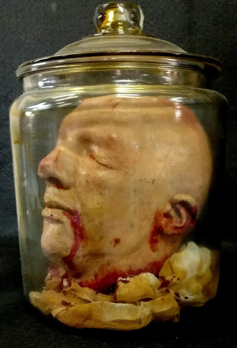 "Anatomy Gore Jar - Joe's Severed Head" Halloween Prop 1