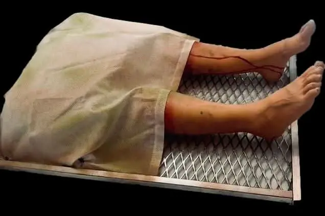 Animated Morgue Tray Halloween Animatronic 1
