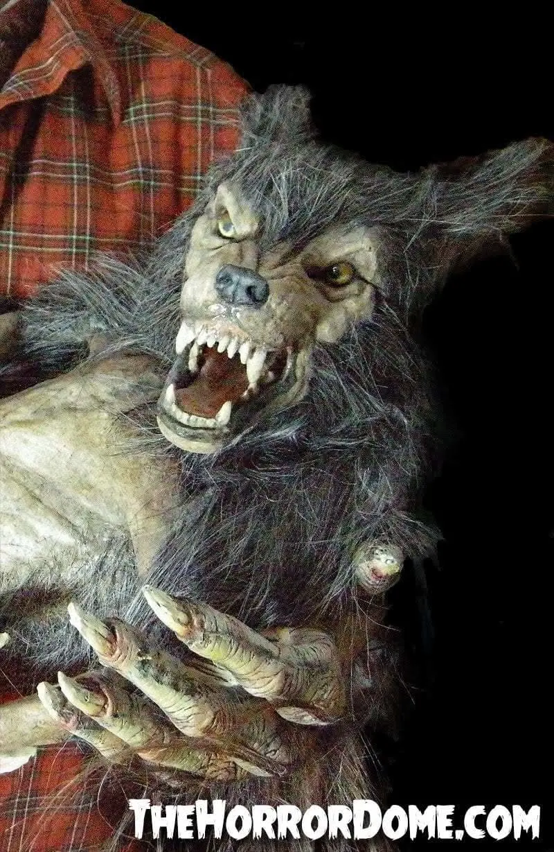 "Baby Werewolf Puppet" Hd Studios Halloween Prop 1