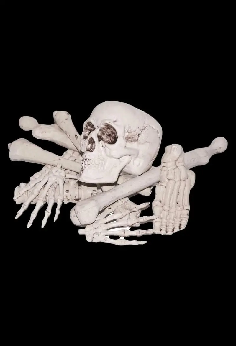"Bag Of Bones" Halloween Prop 1