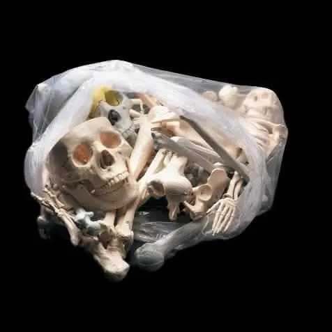 "Bag Of Bones - Large" Halloween Prop 1