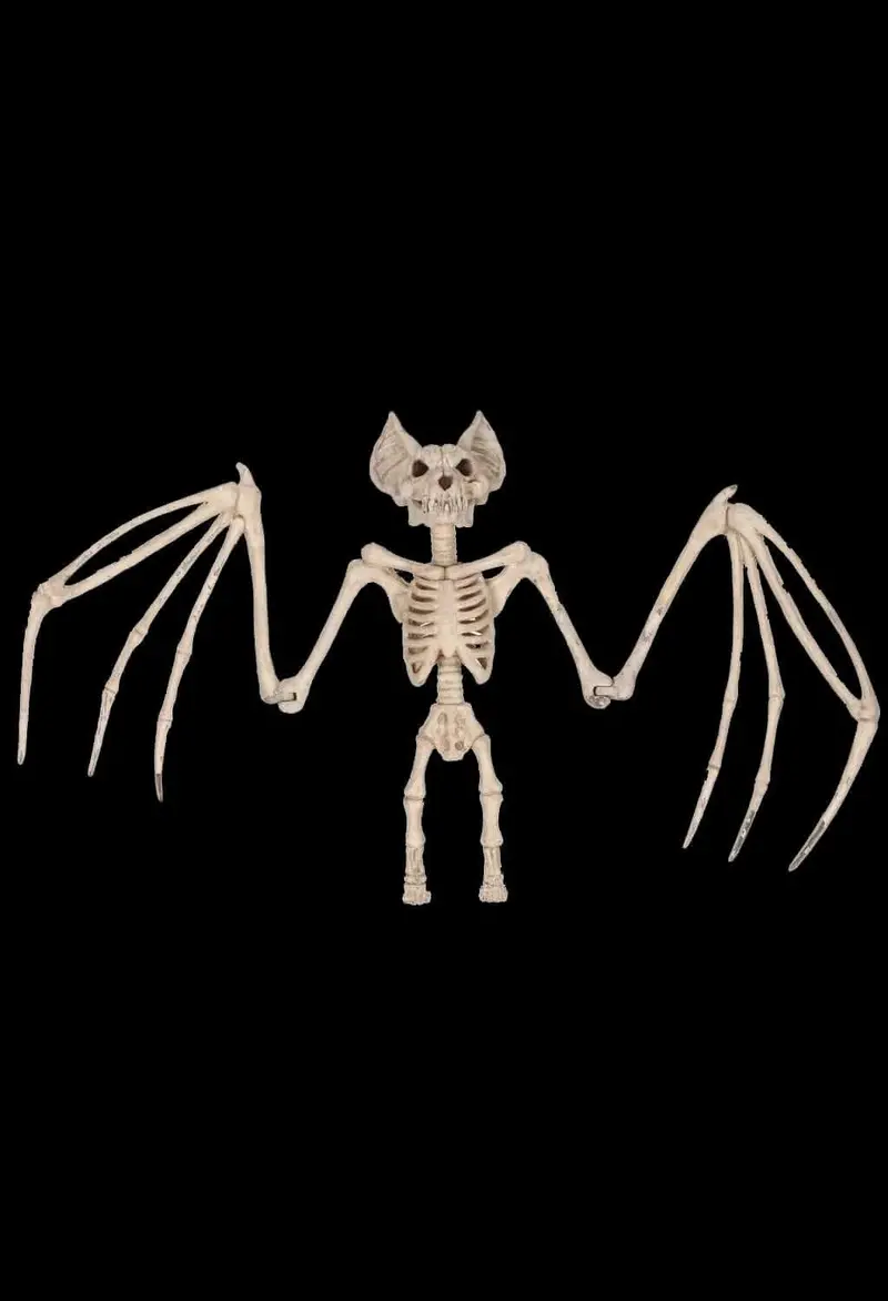 "Bat Skeleton" Halloween Prop - 36 Inch 1