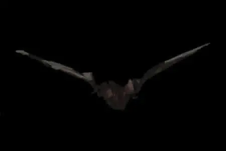 "Bat With Light-Up Eyes" Hanging Halloween Prop - 54 Inches 1