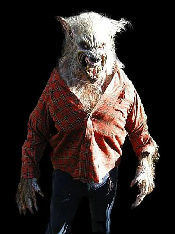 "Big Bad Wolf" Hd Studios Pro Halloween Costume 1