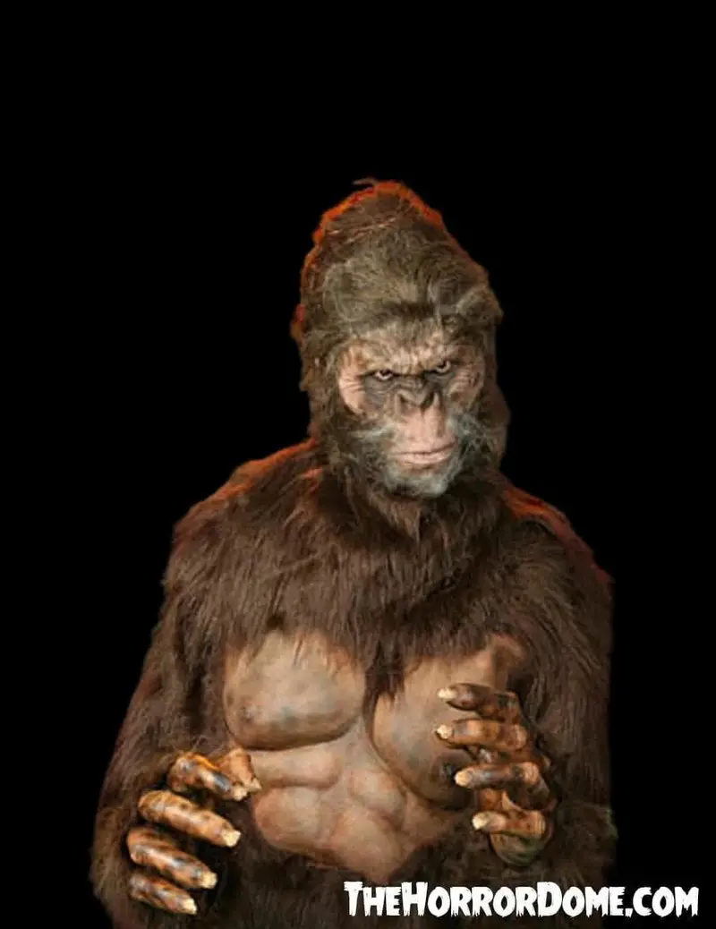 "Bigfoot" Hd Studios Pro Costume 2
