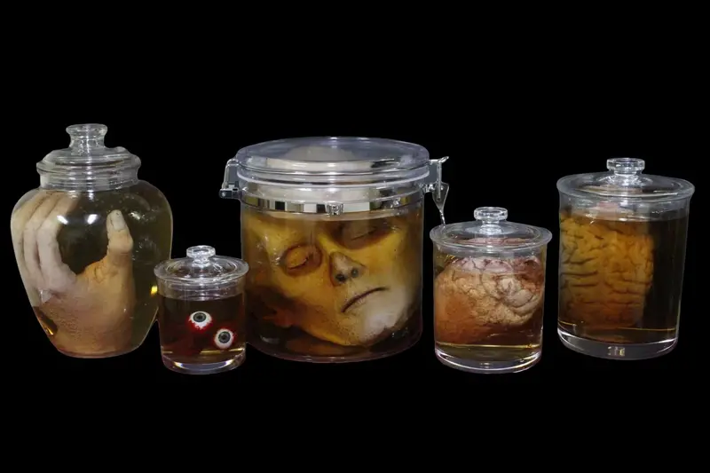 Body Part Specimen Jar Halloween Prop Combo 1