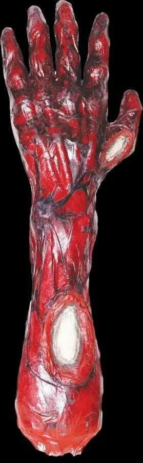 "Burnt Arm" Gory Halloween Prop 1