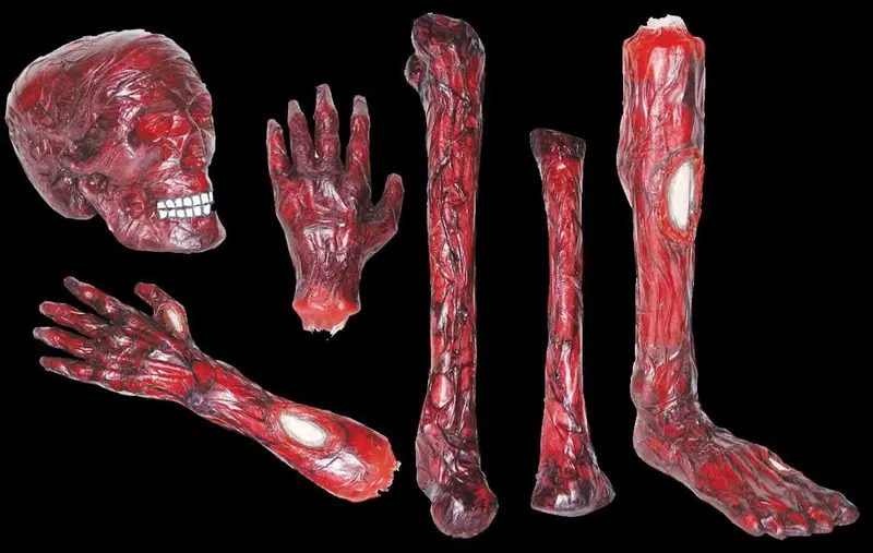 "Burnt Body Parts" Gory Halloween Props - Package Deal 1