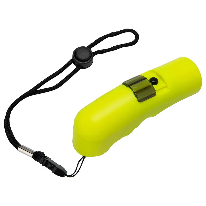 Champro Electronic Whistle 1