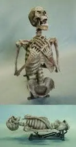 "Corpse Erector" Skeleton Halloween Animatronic 1