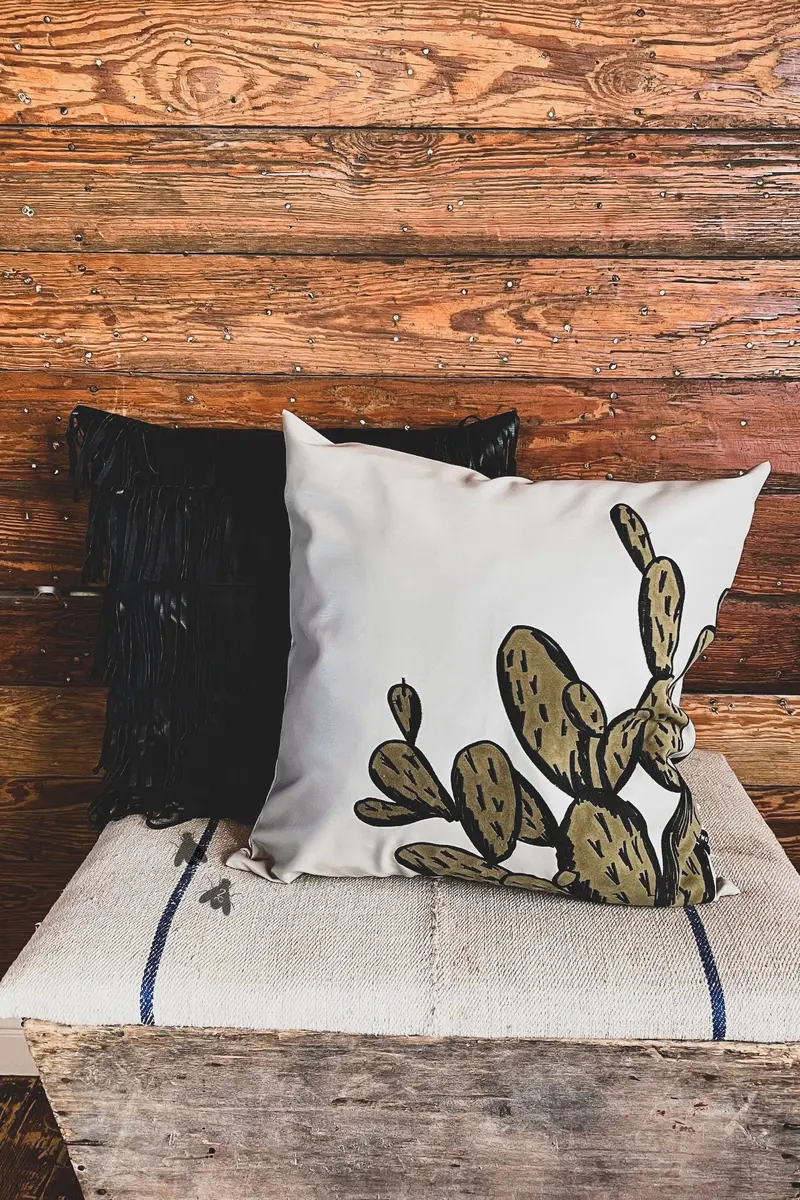 Crazy Cacti Pillow 1
