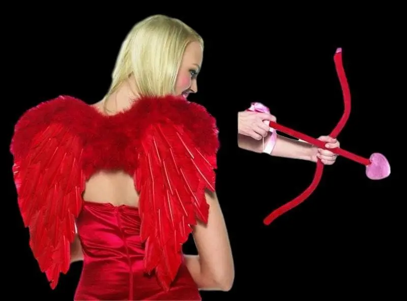 "Cupid Kit W/ Bow, Arrow And Wings" Halloween Costume Accessories 1