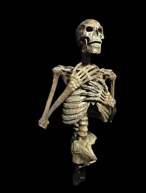 "Dead Rising" Skeleton Halloween Animatronic 1