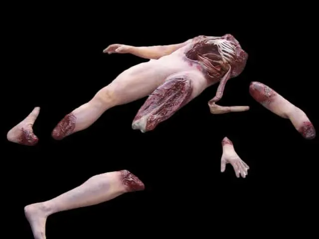 Deluxe Dismembered Body Combo Halloween Prop 1