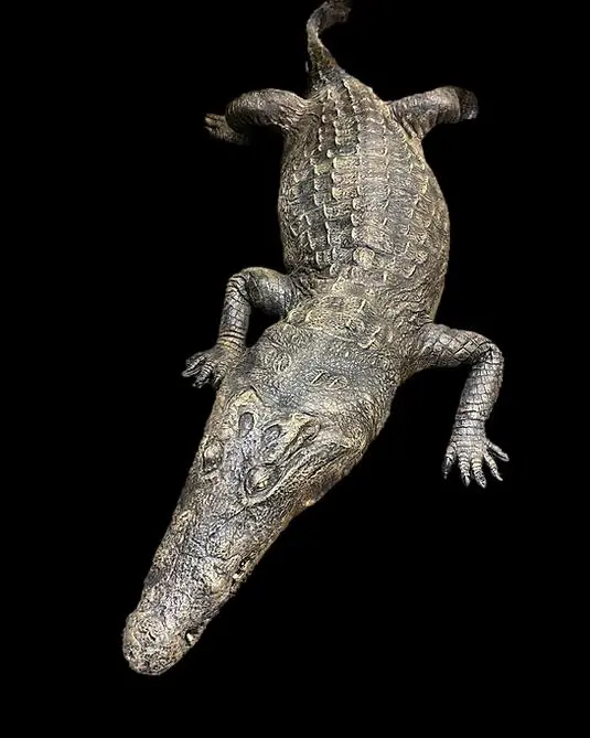 "Dilly Crocodile" Professional Halloween Prop 1