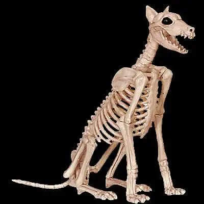 Doberman Skeleton Dog Skeleton Halloween Prop 1