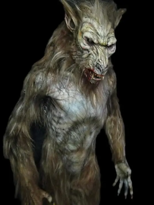 "Dog Soldier" Costume 1