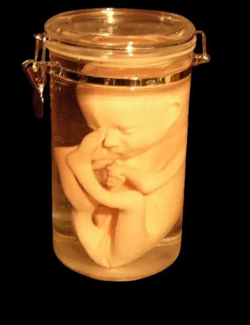 Fetus Replica 7 Month Specimen Jar Halloween Prop 1