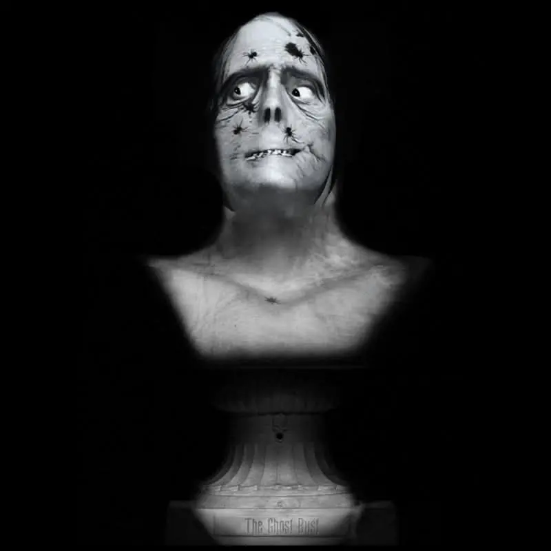 "Ghost Bust Pro - Spider Face" Animated Haunted Projection Prop 1