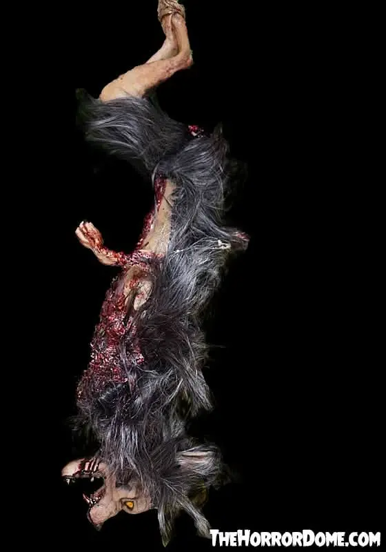 Gutted Baby Werewolf Hanging Prop 1