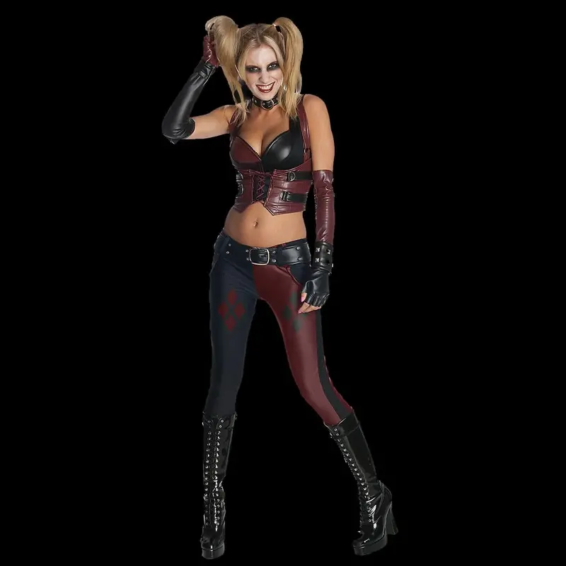 Harley Quinn Deluxe Costume 1