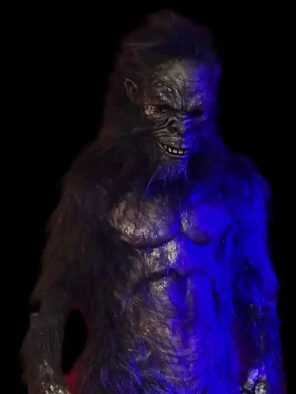 "Harry The Primate" Costume 1