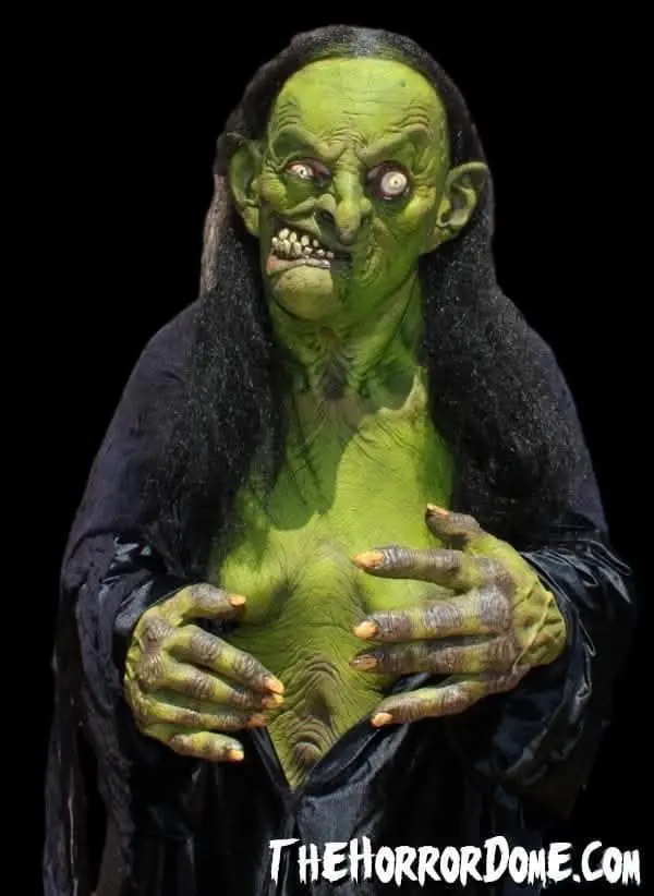 "Helga The Witch" Hd Studios Pro Halloween Costume 1