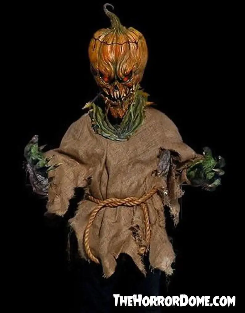 Jack O'lantern Hd Studios Halloween Costume 1