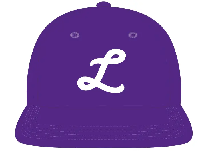 Lanesville Eagles Stretch-Fit Cap 1