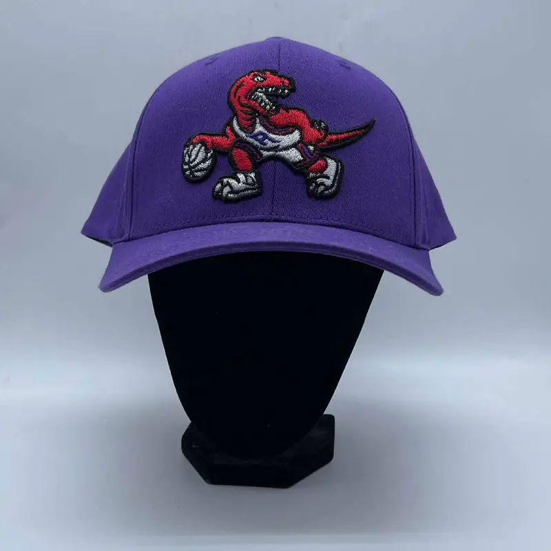 Men's Nba Toronto Raptors Cap 1
