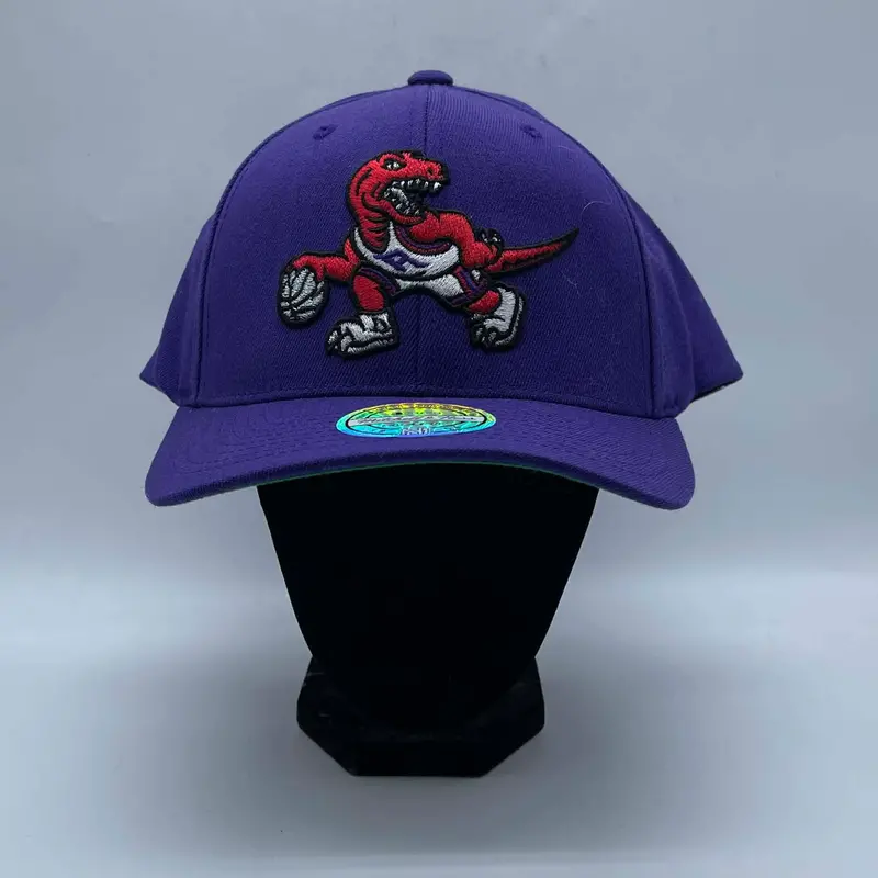 Men's Nba Toronto Raptors Cap 1