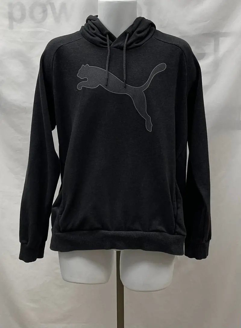 Men's Puma Long Sleeve Hoodie, Medium 1