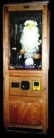 "Merlin" Animatronic Fortune Teller Machine 1