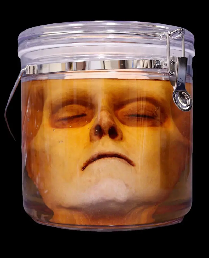 Morgan Face Specimen Jar Halloween Prop 1