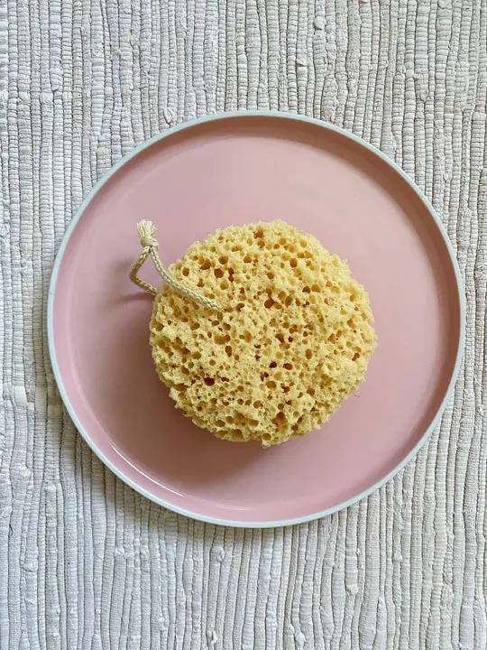 Natural Sea Sponge Loofa 1