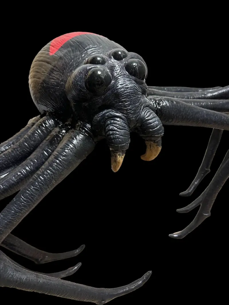 New "Giant Black Widow Spider" 24" Wide, Monster Halloween Prop 2