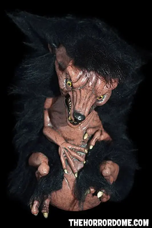 "Newborn Werewolf" Collector Oddity Hd Exclusive Halloween Decoration 1