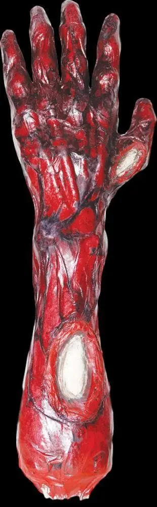 "Peeled Flesh - Left Arm" Human Body Part Halloween Prop 1