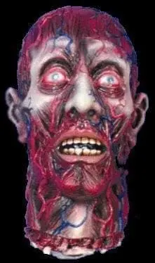 "Peeled Flesh" Severed Head Halloween Prop 1