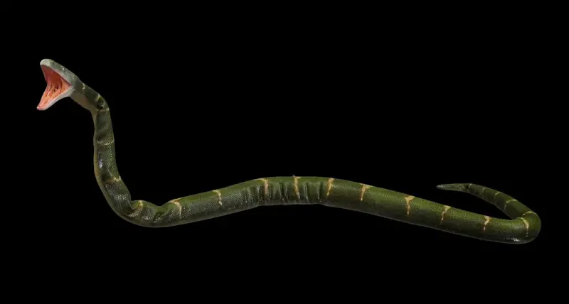 "Posable Boa Snake" Professional Halloween Prop 1