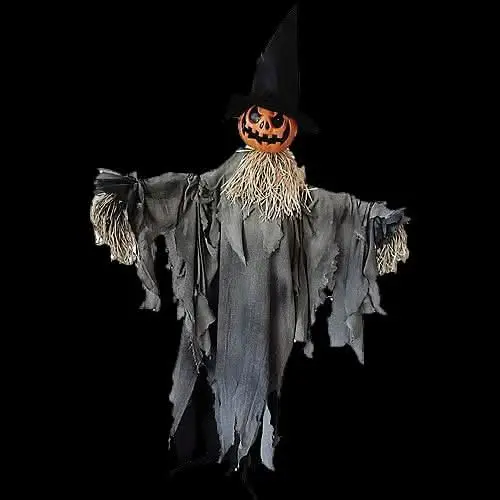 Pumpkin Animated With Hat 1