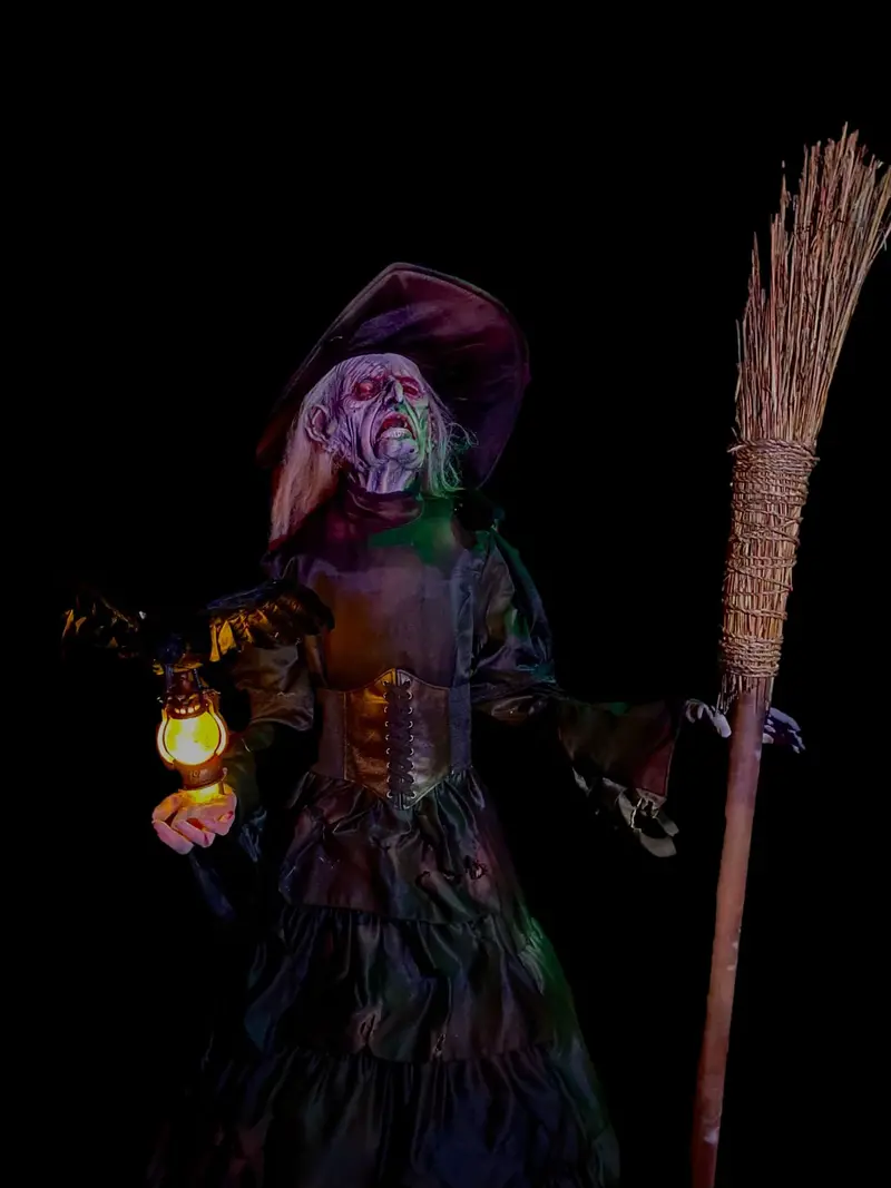 "Ravens Revenge Witch" Professional Halloween Prop 1
