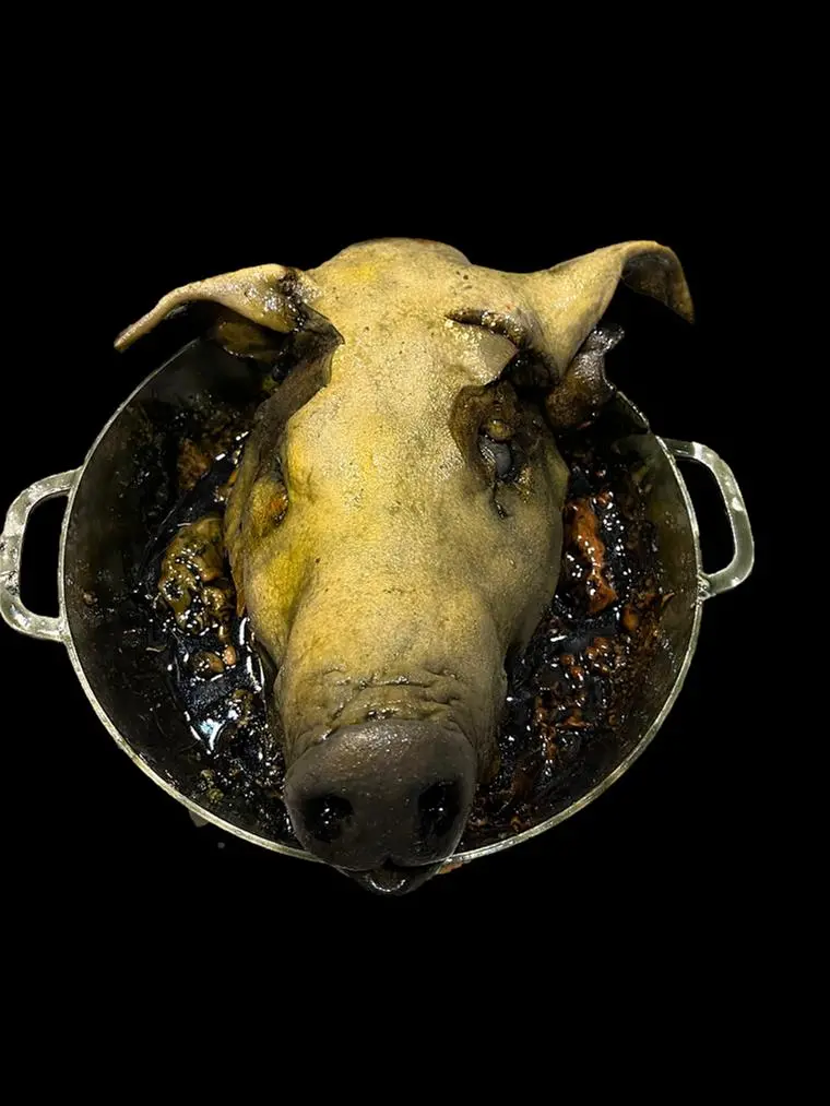 Rotten Pig Head In Pot Halloween Prop 1