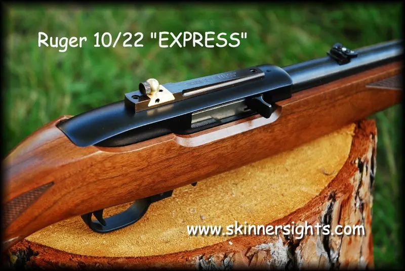 Ruger 10/22 Express Sight 4