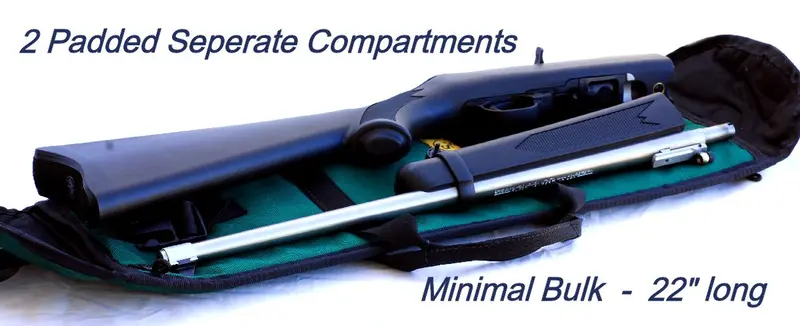 Ruger 10/22 Takedown Case 1