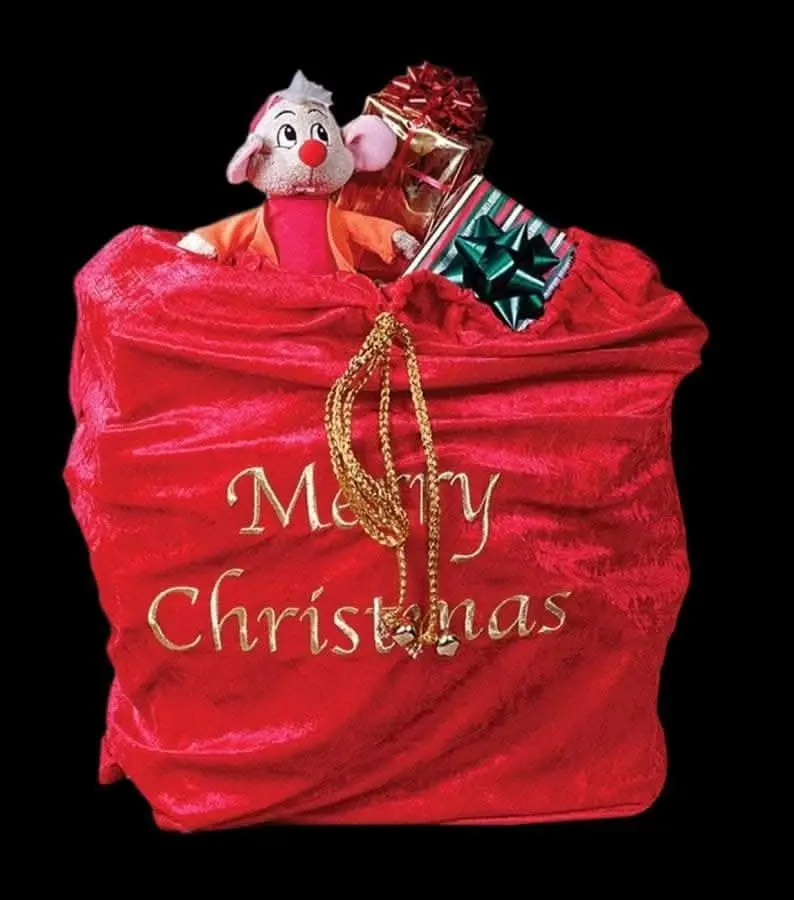"Santa Sack" Christmas Costume Accessory 1