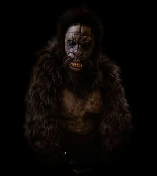 "Sasquatch" Hd Studios Costume 1